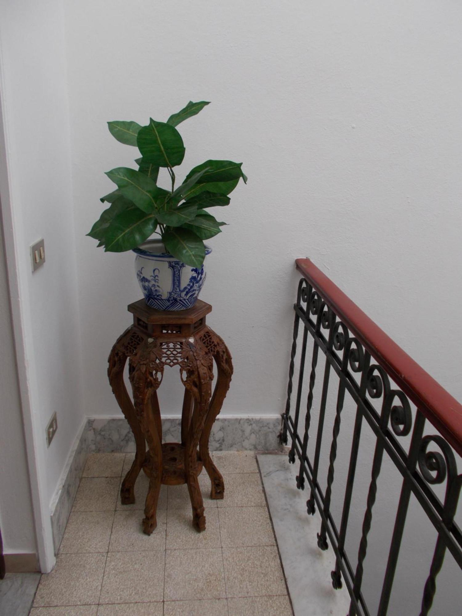 Villa Alba Pisa Esterno foto